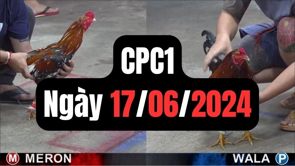 Xem đá gà thomo CPC1 ngày 17-06-2024