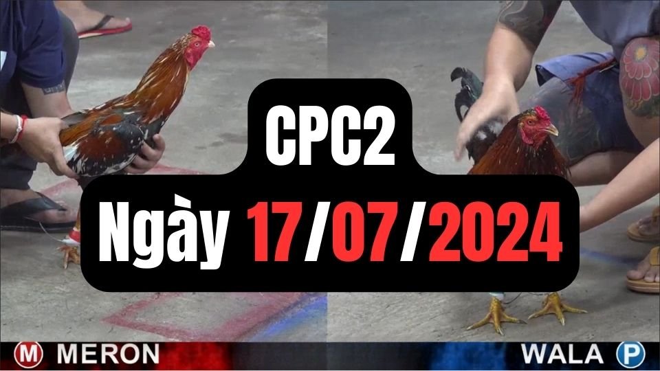 Xem đá gà thomo CPC2 ngày 17-07-2024