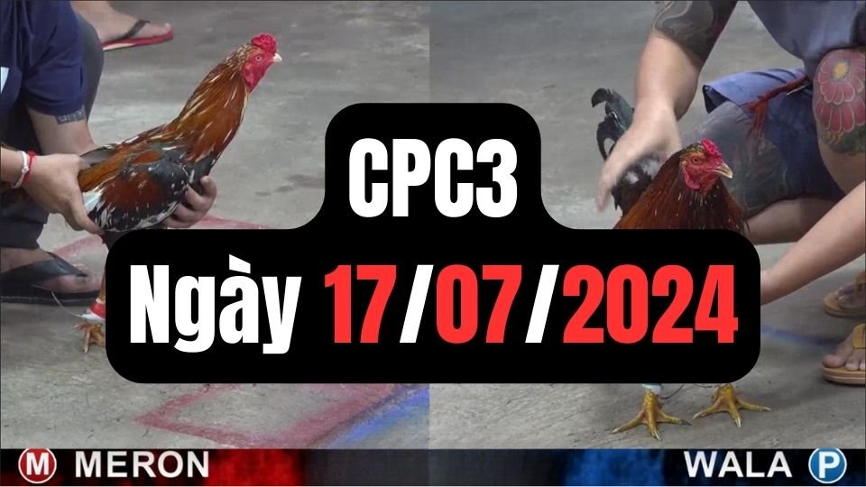 Xem đá gà thomo CPC3 ngày 17-07-2024