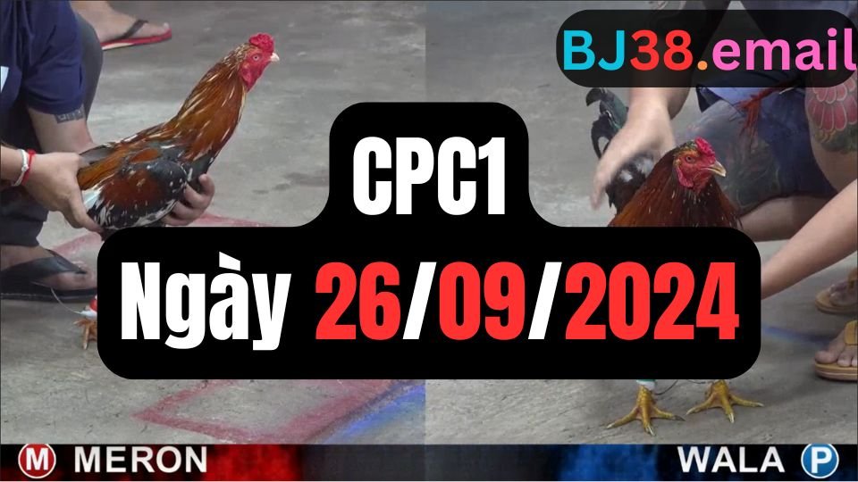 Xem đá gà thomo CPC1 ngày 26-09-2024