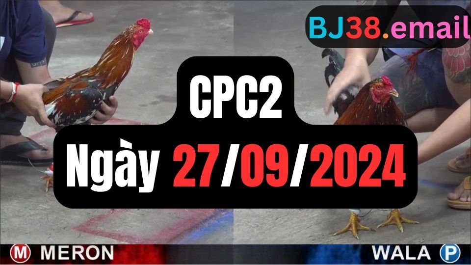 Xem đá gà thomo CPC2 ngày 27-09-2024