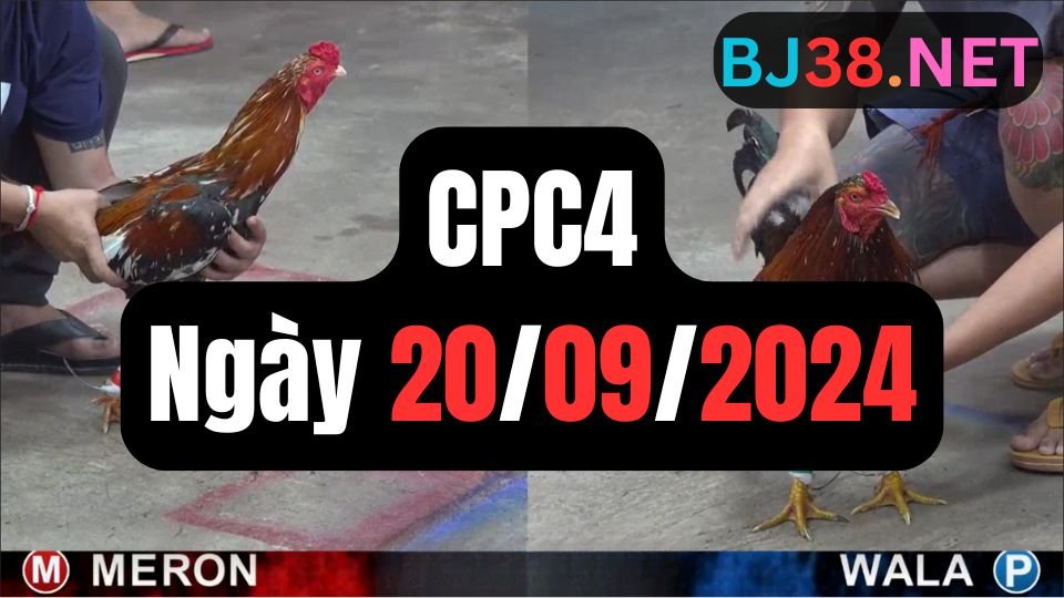 Xem đá gà thomo CPC4 ngày 20-09-2024