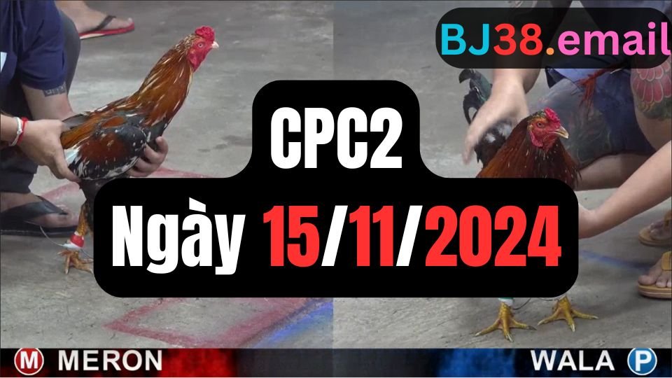 Xem đá gà thomo CPC2 ngày 15-11-2024